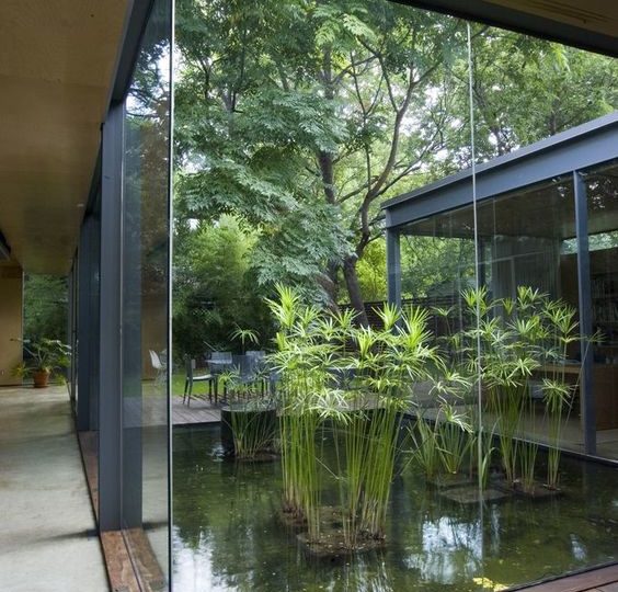 Patterns of Biophilic Design: Part 2/14